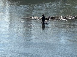 109-22-12-2025 IMG_3264